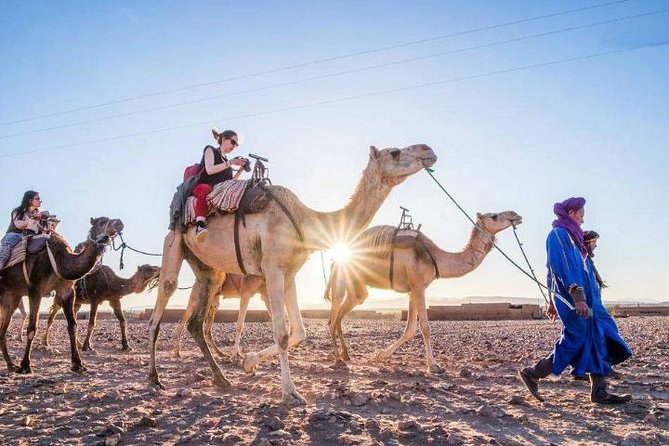 Camel Ride and Quad Bike in Palmeraie - Frequently Asked Questions