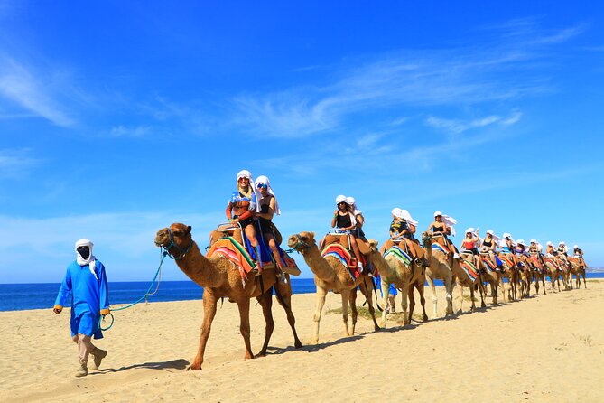 Camel Riding Experience on the Shores of the Pacific Ocean - Frequently Asked Questions