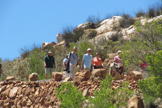 Cango Caves,Swartberg Pass,Prince Albert & Meiringspoort Daytrip - Traveler Ratings and Recommendations