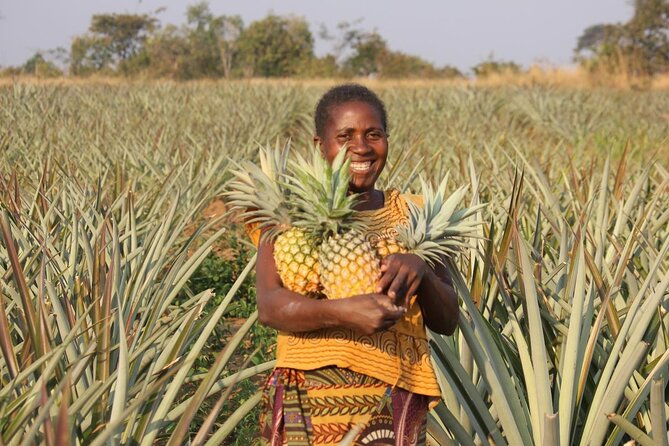 Cape Coast ,Elmina Castle and Kakum Full-Day Tour - Trekking Kakum National Park