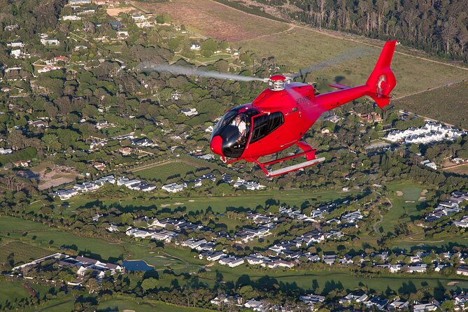 Cape of Good Hope Helicopter Private Tour With Stellenbosch Wine Tasting & Lunch - Wine Tasting Experience