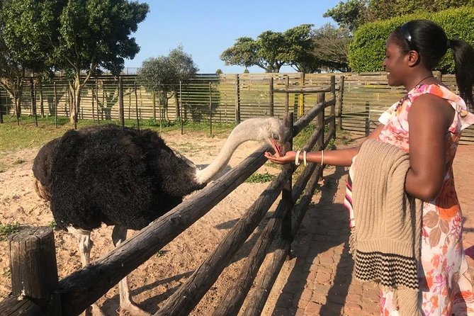 Cape of Good Hope & Penguins Full Day Tour From (The Mother City) Cape Town. - Frequently Asked Questions