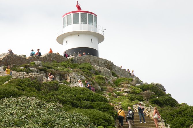 Cape Town Half Day Tour - Exploring Cape Town
