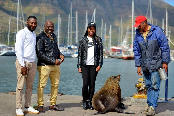 Cape Town Private Group Tour to Cape of Good Hope and Boulders Penguins Colony - Travel Recommendations