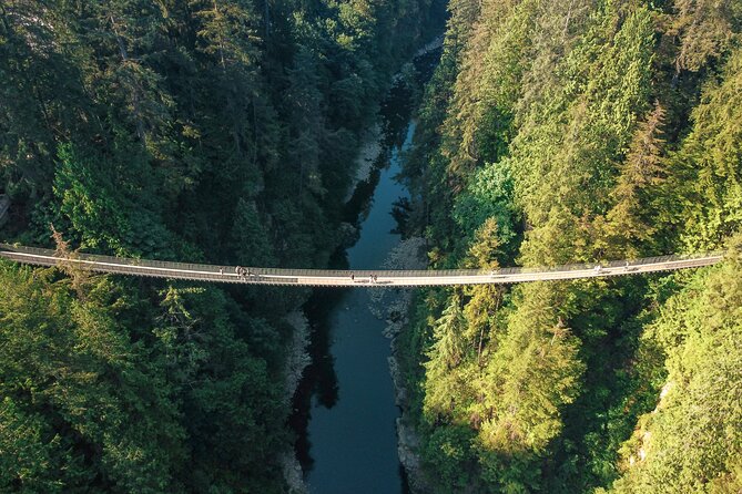 Capilano Suspension Bridge Park Ticket - Tips for Your Visit