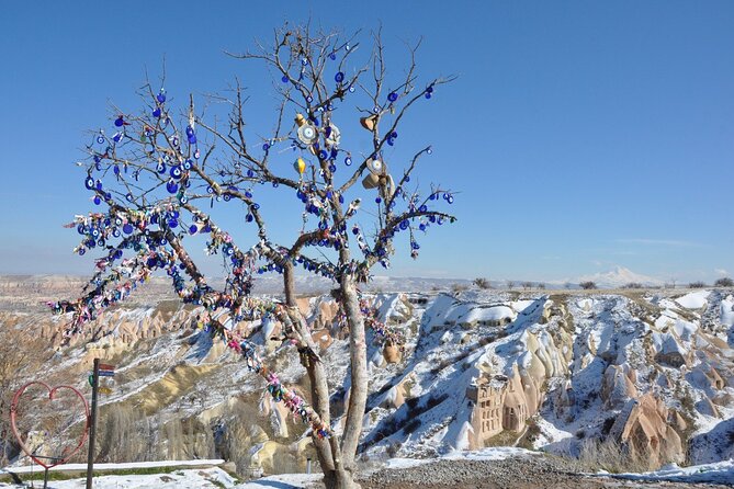 Cappadocia Private Tour - Reviews