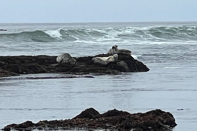 Carmel, Monterey and Big Sur Tour Private Tour From San Francisco - Pricing Information
