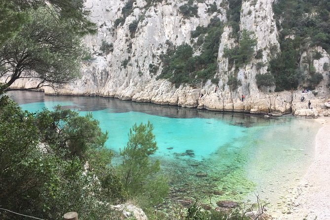 Cassis Wine Tour: Sea, Cliffs, and Vineyards - Customizing Your Cassis Adventure