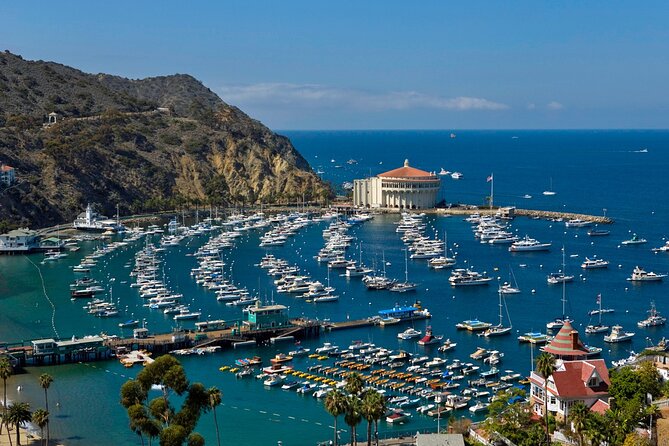 Catalina Island Day Trip From Anaheim Hotels With Discover Avalon Tour - Sum Up