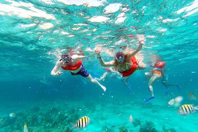 Catamaran Cruise Sunset Ricks Cafe Snorkeling Family Days Only - Cruise Capacity