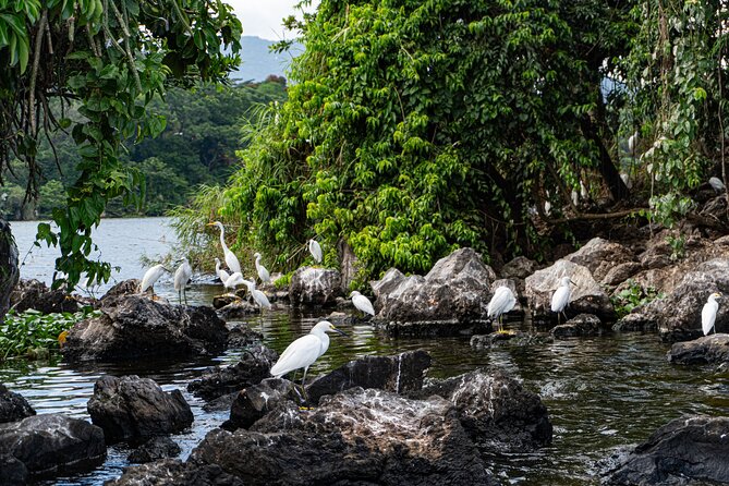 Catemaco And Los Tuxtlas Tour From Veracruz Or Boca Del Rio - Highlights of the Tour