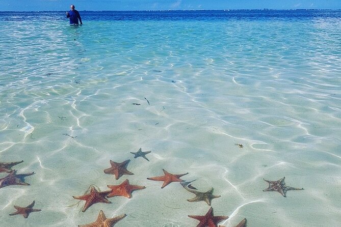Cayman Adventure: Starfish Point, Stingray City and Coral Gardens - Snorkeling in Coral Gardens