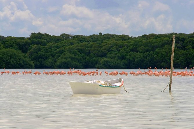 Celestun Biosphere Reserve Tour From Merida - Frequently Asked Questions