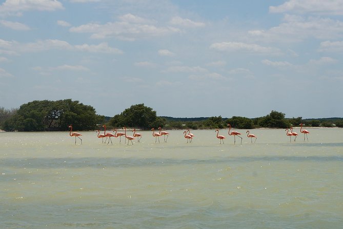 Cenote Suytun & Rio Lagartos & Las Coloradas - Las Coloradas Wonders
