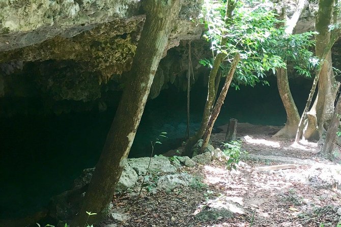 Cenotes Bike Tour With Food - Authentic Mexican Lunch Experiences