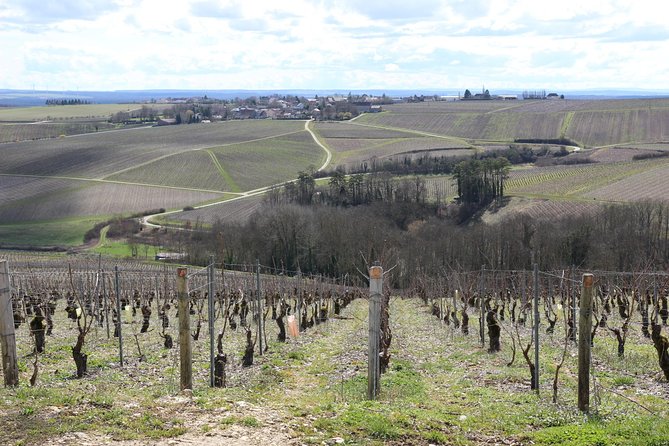 Chablis & Northern Burgundy Wine Tour - Customer Reviews