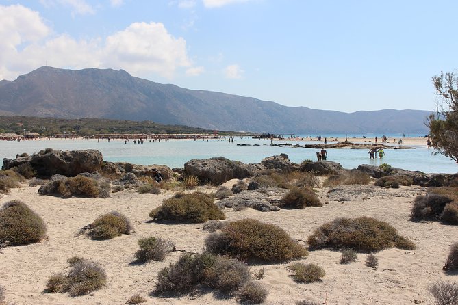 Chania Private Tour To Elafonissi and Falasarna - Hosts Response to Feedback