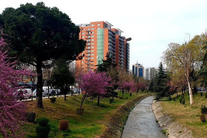 Check IN Tirana - Ask Away