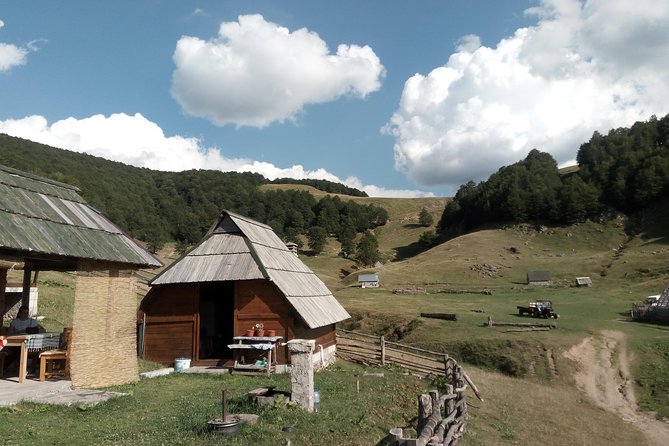 Cheese Farm Tour in the Katun - Transportation and Personalization