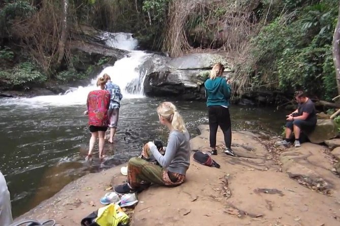 CHIANG MAI: Doi Inthanon-Trekking Pha Dok Seaw-Waterfall-Lunch - Customer Reviews and Feedback