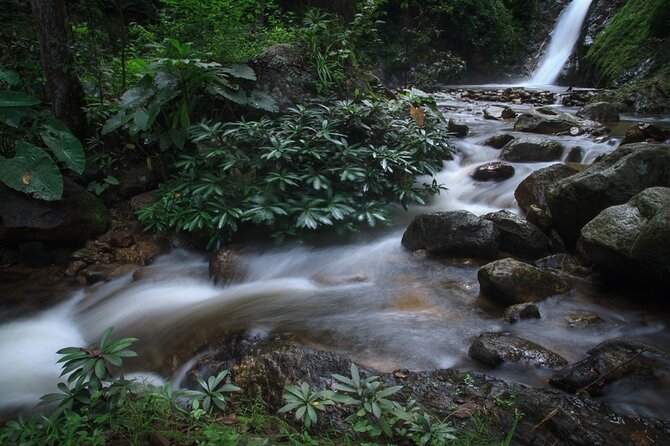 Chiang Mai Exotic Excursion Unseen Miracle of Faith To Pupadang Lampang Temple - Tips for a Great Experience