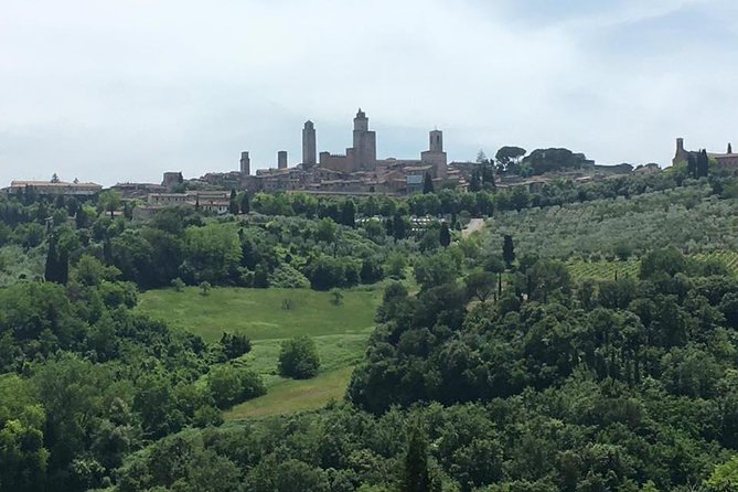Chianti Wines and San Gimignano Tour From Florence (1 Winery) - Booking Information