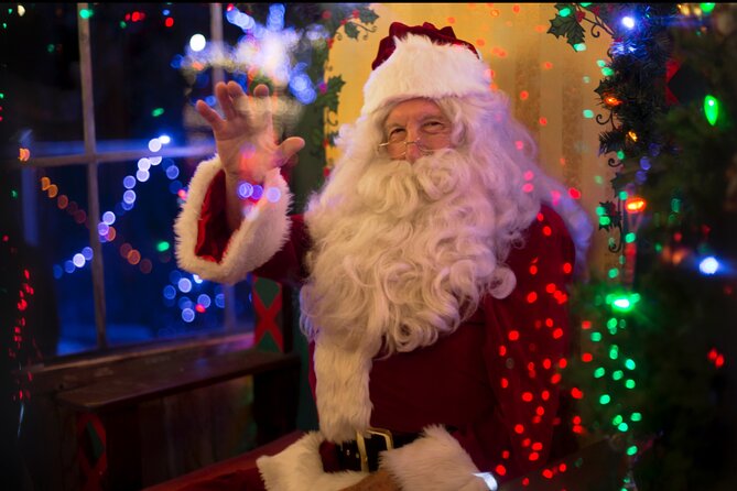 Christmas Holiday Lights NYC Sightseeing Tours With Special Gifts - Things To Known