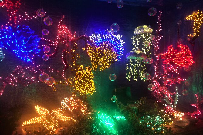 Christmas Lights and Snowflake Lane Photo Tour - Tips for a Great Experience