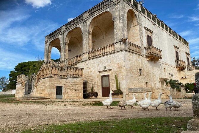 Cisternino E-Bike Tour. Visit a Winery and an Oil Mill - Additional Information