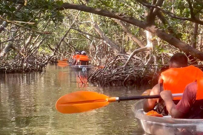 Clear Kayak Private Guided Day and Night Tours in Florida - Sum Up