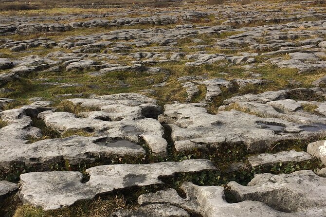 Cliffs of Moher and the Burren Private Tour - Sum Up