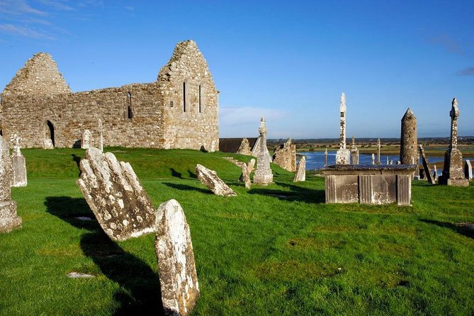 Cliffs of Moher Private Full Day Tour From Dublin - Positive Guest Reviews