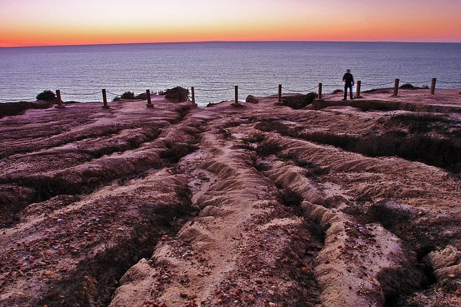 Coastal Beauty - Private Sunset & Night Photography Tour - Participant Reviews and Feedback