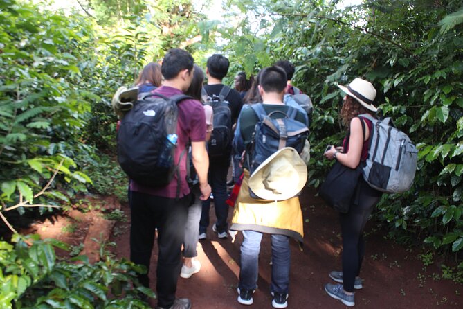 Coffee Farm Tour, Coffee Roasting and Tasting Experience - Traveler Feedback and Recommendations