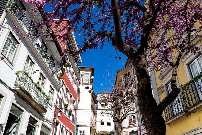 Coimbra Private Walking Tour - Customer Reviews and Feedback