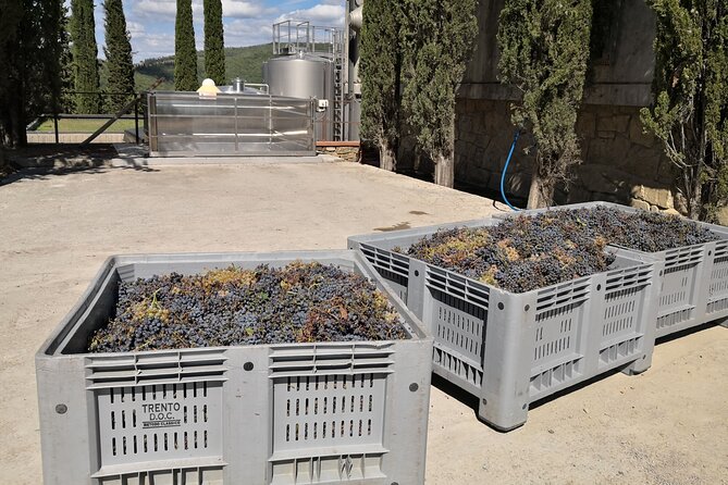 Countryside Pick-Up for Chianti Private Wine Tours Limo Service - The Sum Up