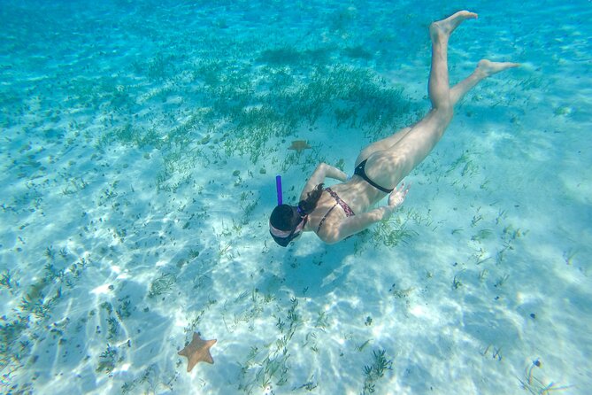 Cozumel Snorkel Tour: Coral Reefs, El Cielo & Beach Break® - Booking and Cancellation