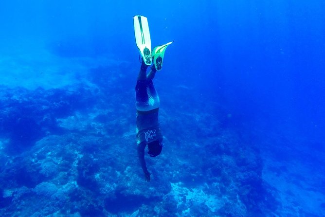 Cozumel Snorkel Tour: Coral Reefs, El Cielo & Beach (Hotel Pick Up) - Frequently Asked Questions