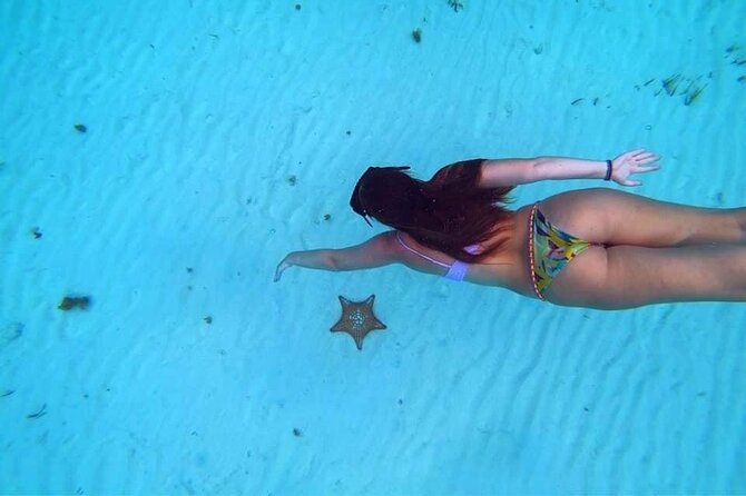 Cozumel Snorkeling Tour: Palancar, Columbia and El Cielo Reefs - Pricing and Booking