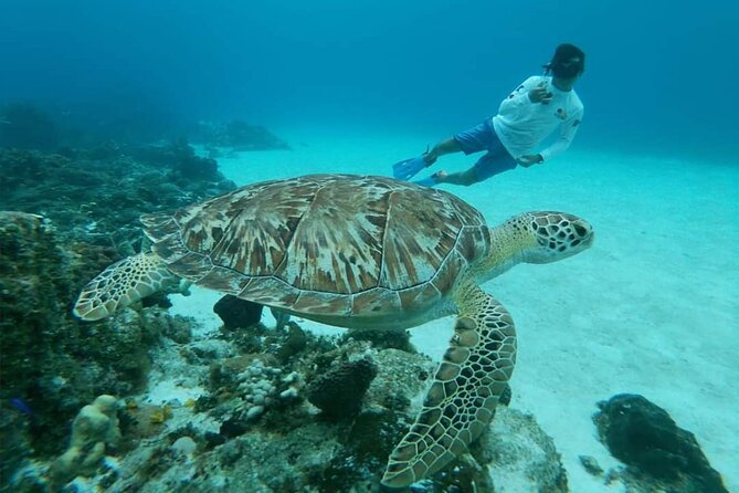 Cozumel Snorkeling Tour: Starfish, Stingrays and the Turtle Bay Experience - Booking Flexibility