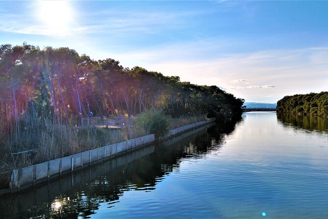 Cycle Albufera Lake, Rice Fields Paella and Boat Ride With Beach - Booking Information