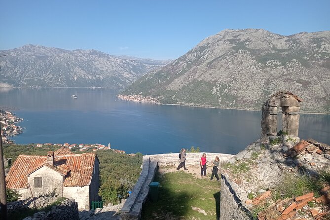 Cycling and Hiking Short Tour Through the Bay of Kotor - Meeting Point and Return