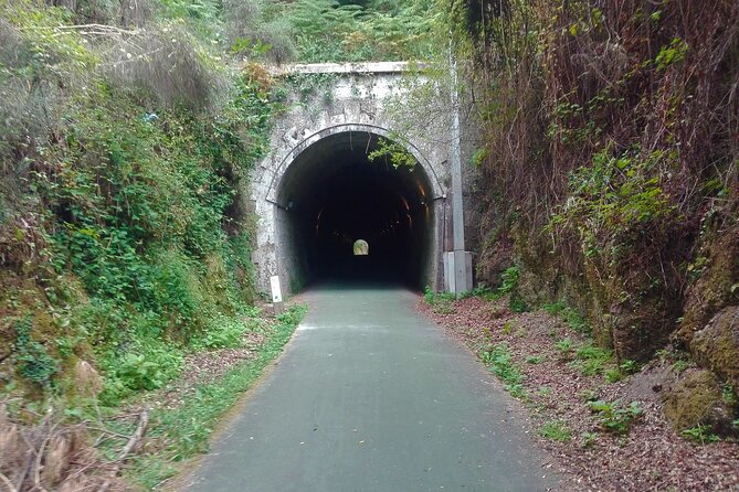 Cycling Ecopista Do Dão One Way, Full-Day From Coimbra - Customer Reviews