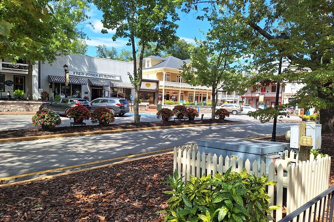 Dahlonega Scavenger Hunt Walking Tour and Game - Things To Known
