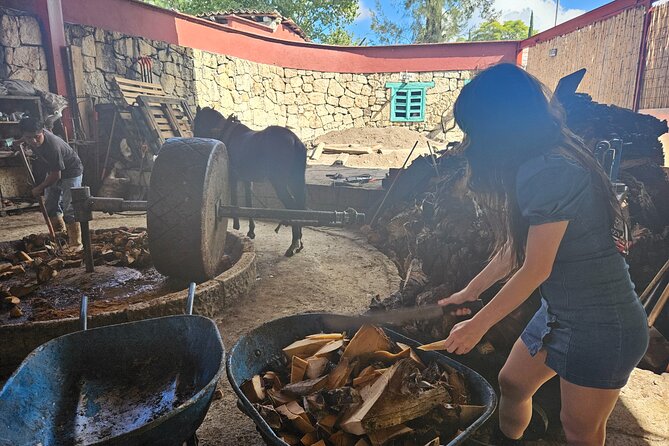 Danzantes Premium Mezcal, Hierve El Agua, Textiles & Lunch - Frequently Asked Questions