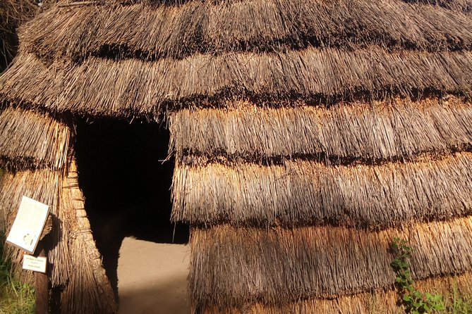 Dar Es Salaam City Walking Tour - Explore the Life of the Local People! - Logistical Considerations