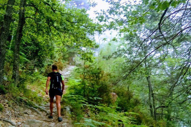 Day Hike in the Mountains of Sanremo - What to Expect