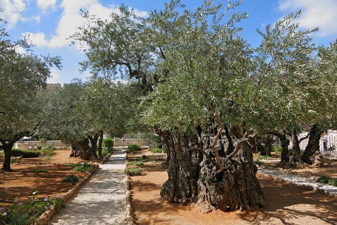 Day Tour Cruises Ashdod Port Jerusalem & Dead Sea or Bethlehem - Good To Know