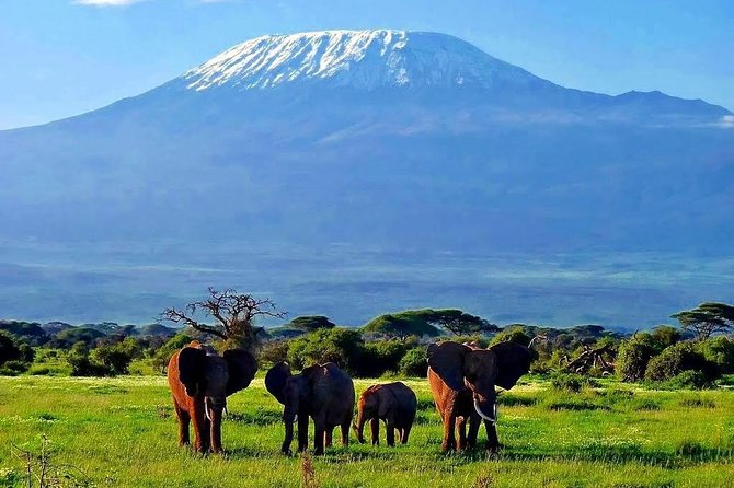 Day Tour Nairobi National Park - Guest Reviews