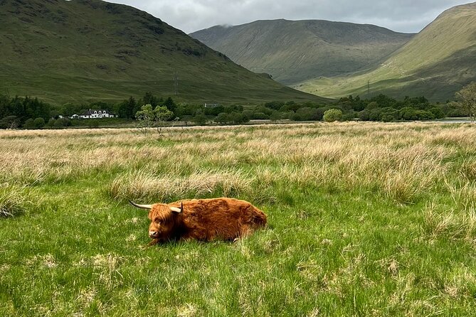 Day Trip to the Scottish Highlands - Booking Process